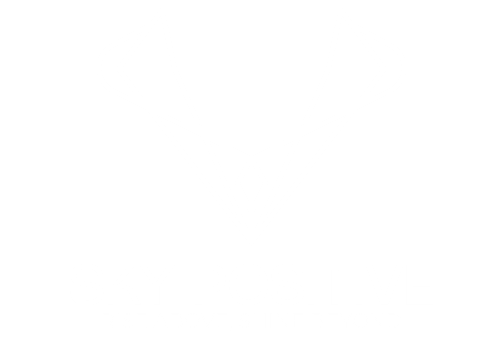 SkyPositive clothing brand logo premium hoodies and t shirts